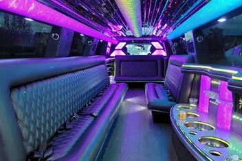 Odessa Limo Interior